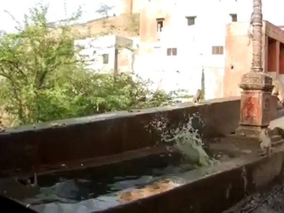 Como se desfruta de um dia quente de Verão