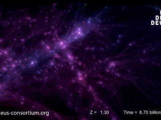 DEUS - Dark matter evolution