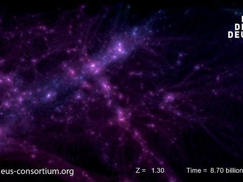 DEUS - Dark matter evolution