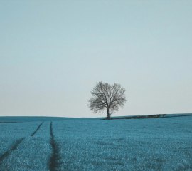 masaj salonu masoz kadıköy istanbul anadolu masaj salonlar