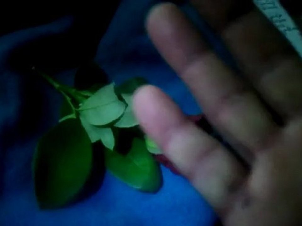 KIRMA BENİ YAR VURMA BENİ YAR (ŞİİRLİ BESTEM)--FERUDUN TÜRKMEN