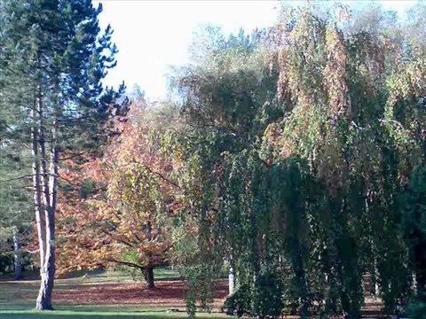 Verte Campagne (Les Compagnons de la Chanson Cover)