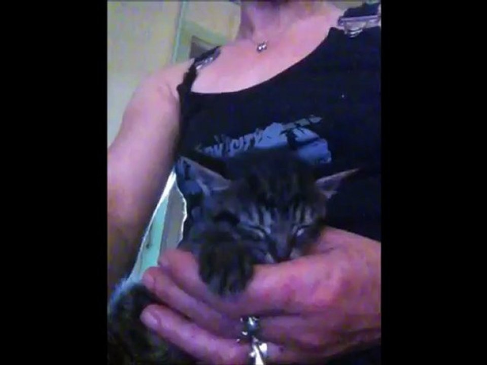 le départ de tite Nours