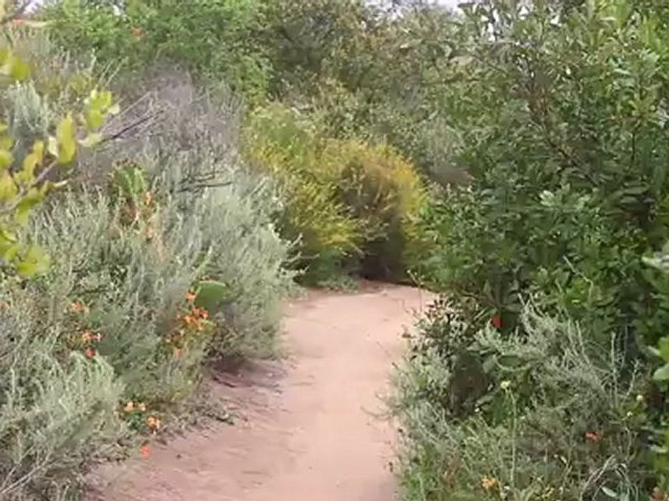 Fast Lap Fitness: Cross Training With Mountain Biking - Intervals