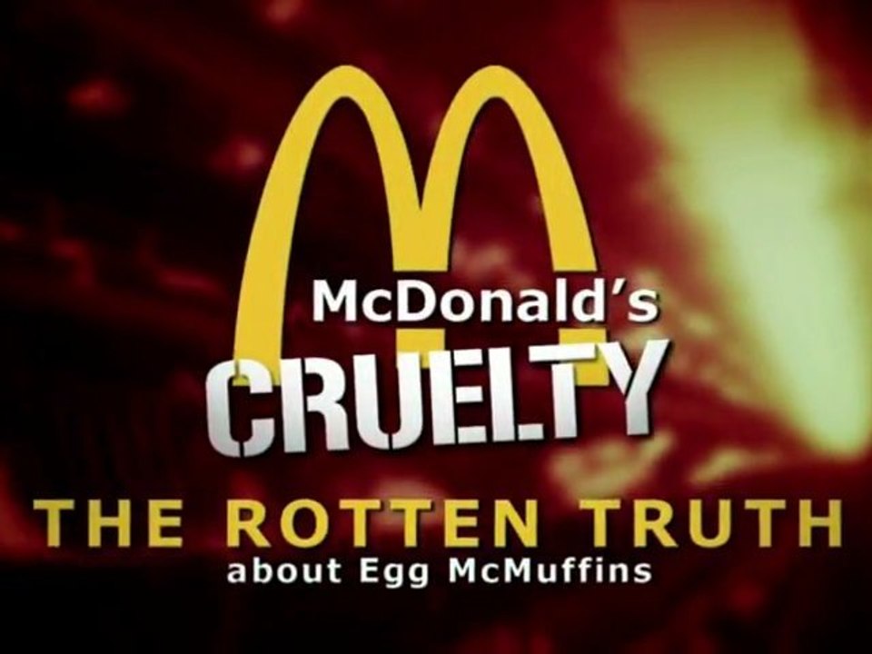 McDonald's Cruelty: The Rotten Truth About Egg McMuffins