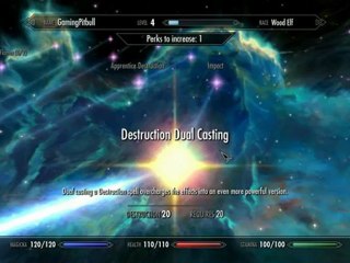 The Elder Scrolls V Skyrim - Playthrough pt17 [Max Settings]