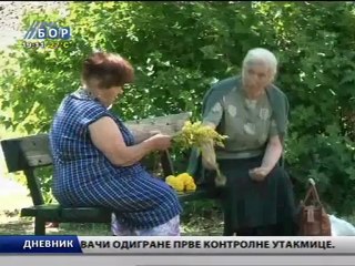 Dnevnik, 07. jul 2011.