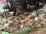 Thành phố Vinh bị rác bủa vây