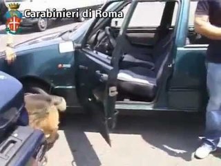 Roma - Cocaina distribuita come caramelle da bocchette aria, 1 arresto (03.07.12)