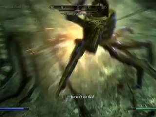 The Elder Scrolls V Skyrim - Playthrough pt88 [Max Settings]