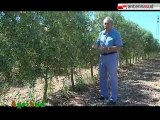 24.06.12 AGRISUD | Viaggio nel mondo della certificazione