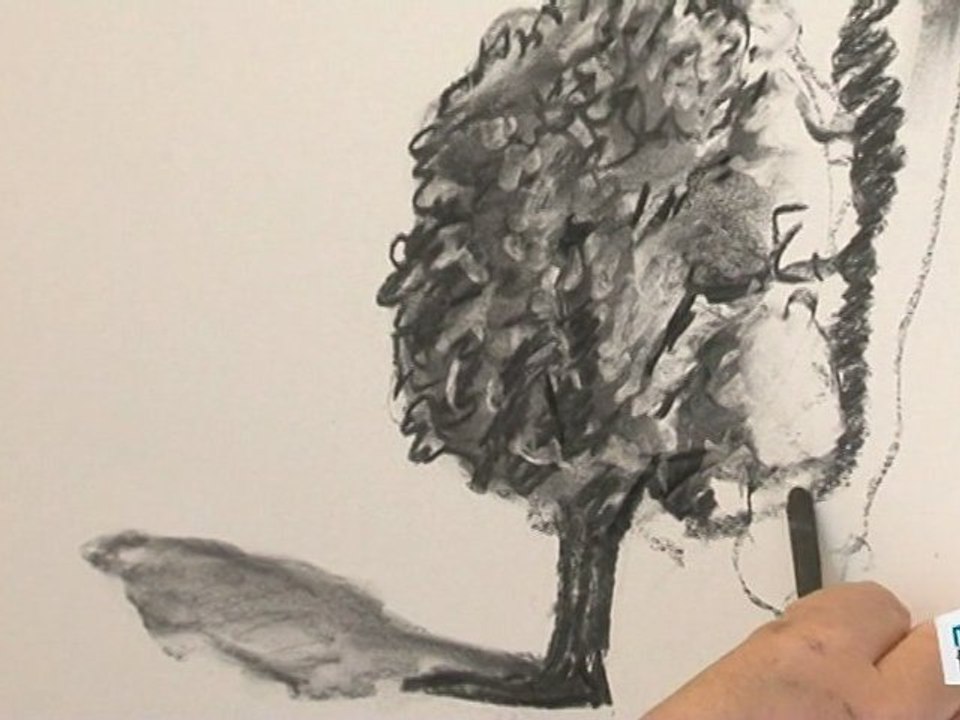 Comment dessiner un arbre ?