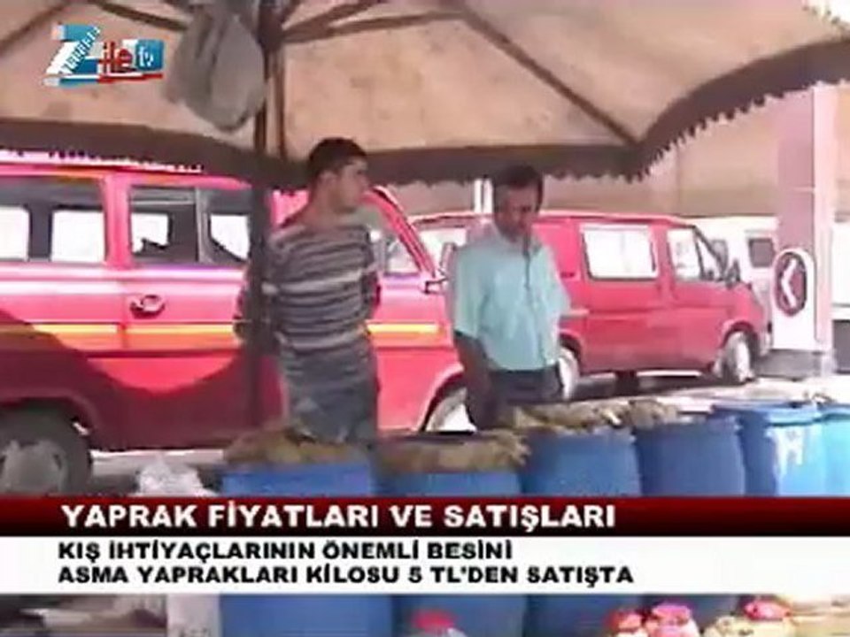 Zilede Bağ yaprak şatışları