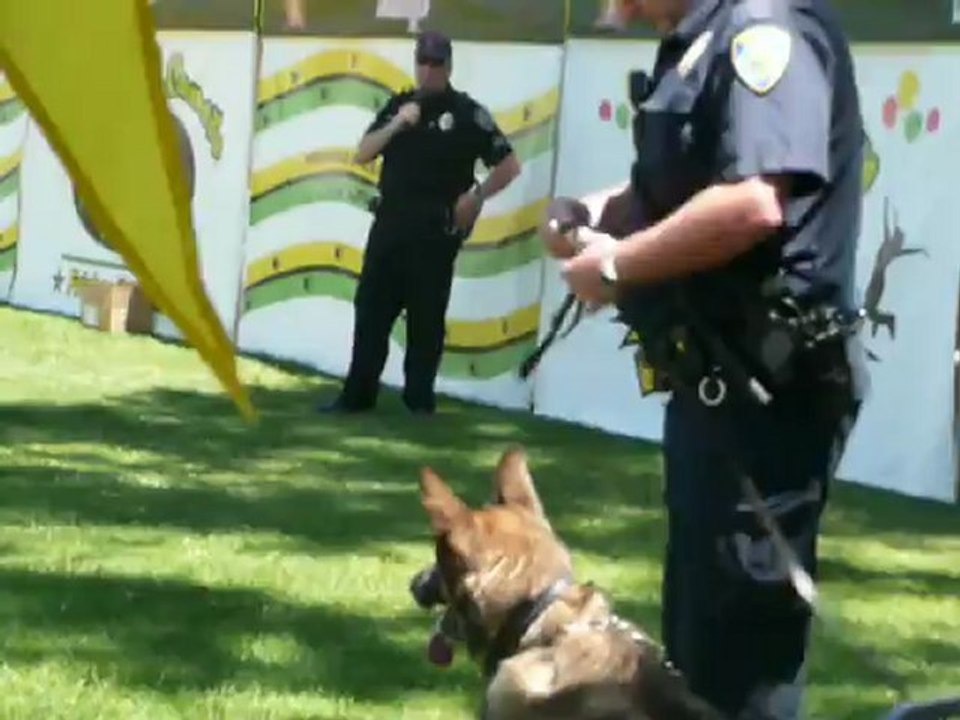 100 YEARS ALAMEDA COUNTY FAIR. O1 016