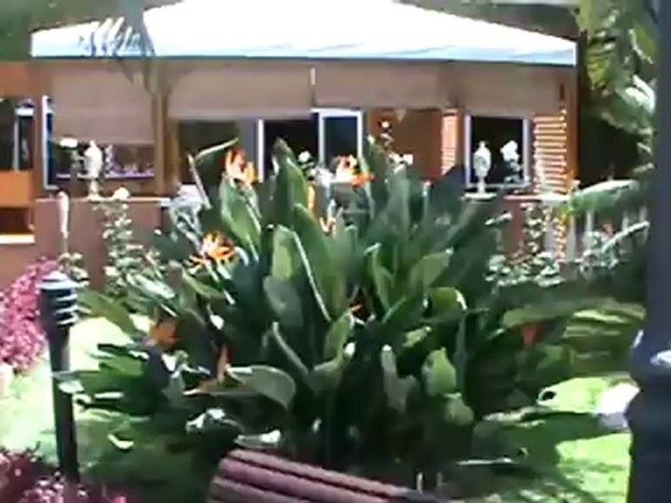 Riu Garoe Hotel Puerto de la Cruz Garten Teneriffa Bilder Fotos