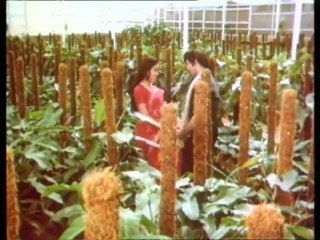 Jalataru Jallammo - Romantic Songs - Jeevana Poratam