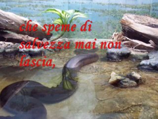 L'ultimo respiro- di Ares Mann