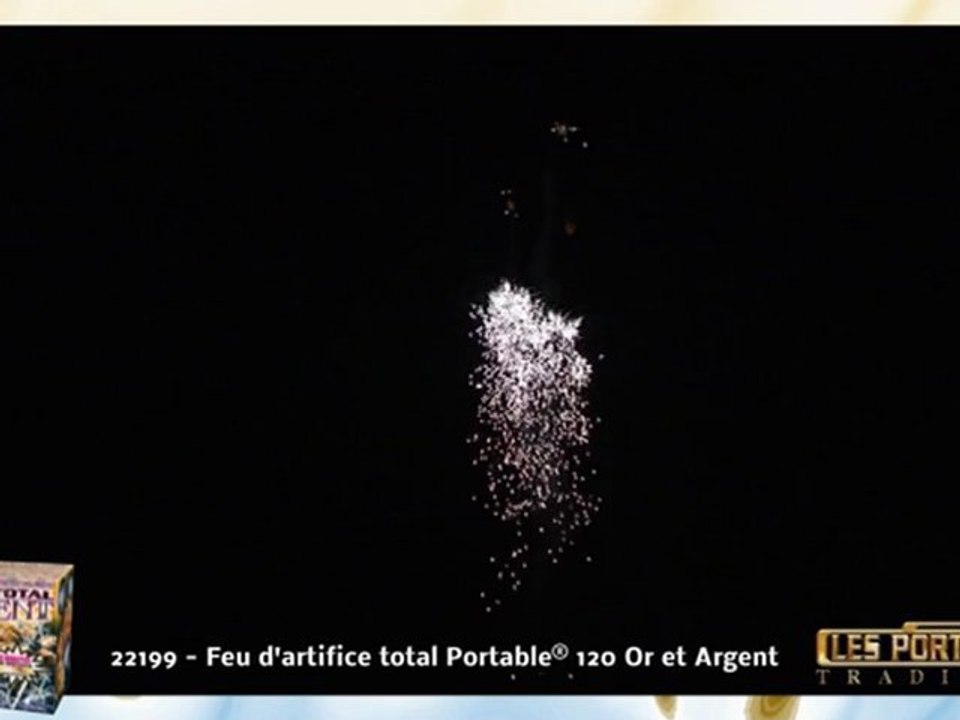 ADRM 3 MOULINS -  PORTABLE 120 OR ET ARGENT - Feu d' artifice