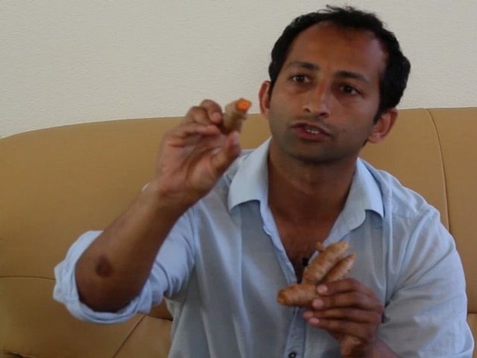 Turmeric anti inflammatory and antioxidant