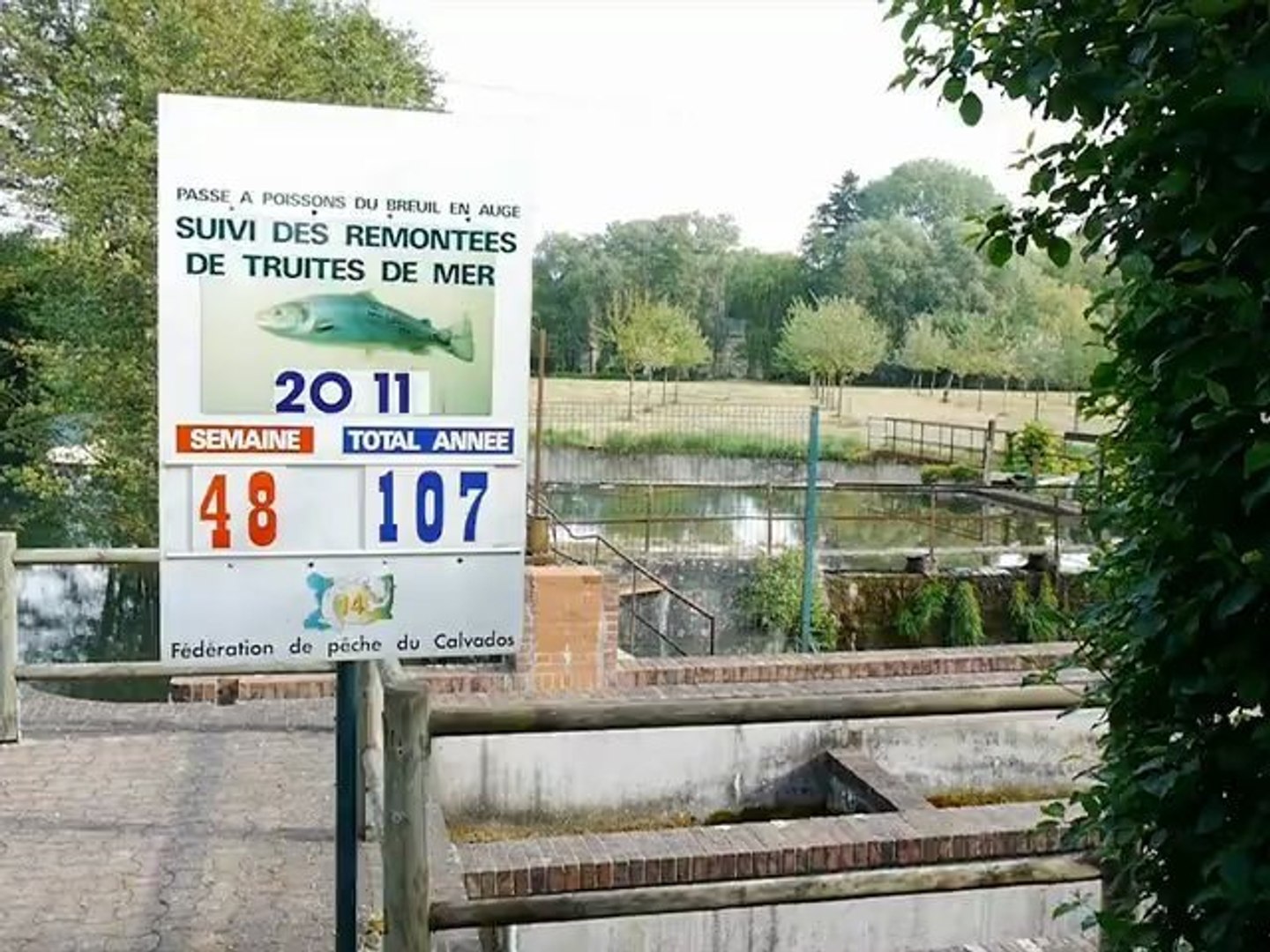 Passe à Poisson Du Breuil En Auge Obstacle effacé, continuité retrouvée - Vidéo Dailymotion