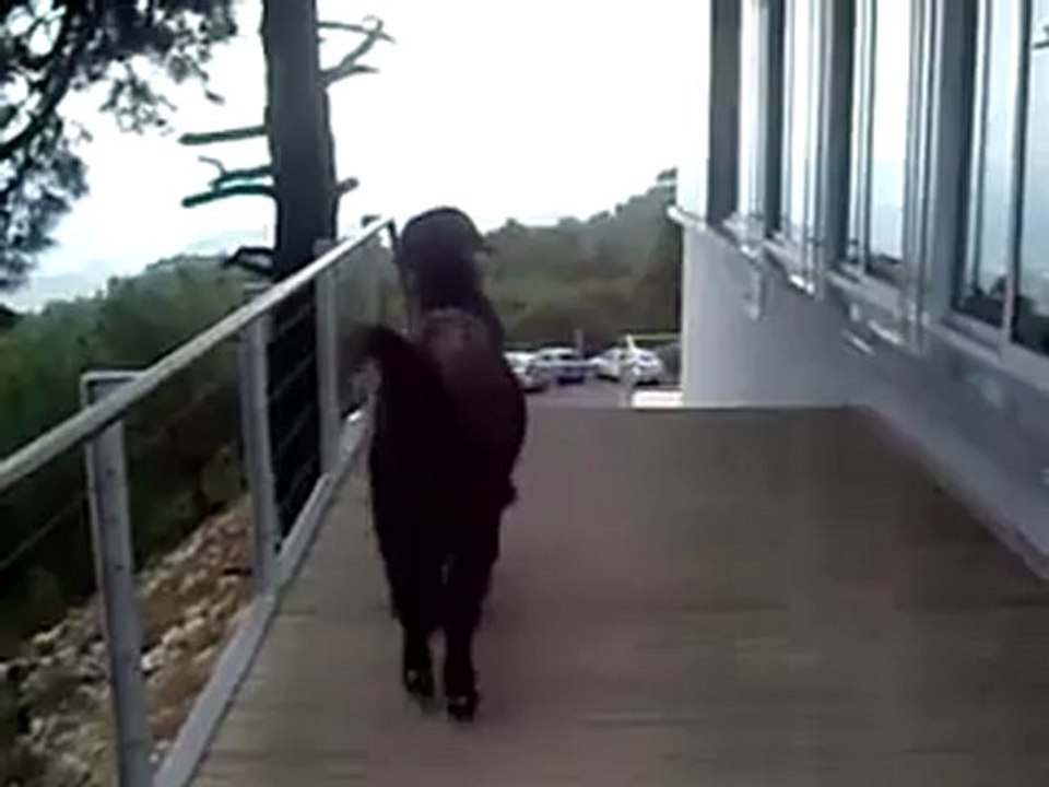 Tui Ausflug Sea to Sky Reisebüro Fella TUI TRAVELSTAR