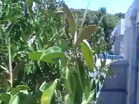 Robinson Club Pamfilya Türkische Riviera Side Zimmer Hubert Fella