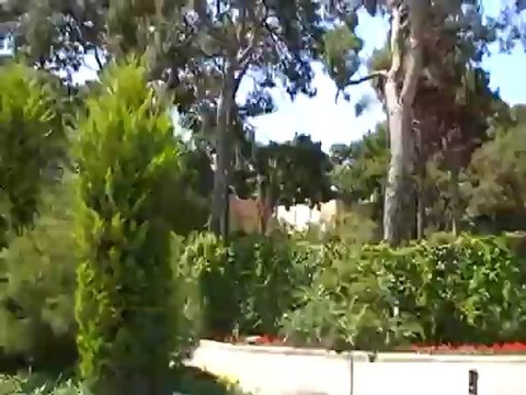 Blue Water Club Türkei Side Hotel Blue Waters Club. Sorgun Mevkii Manavgat.