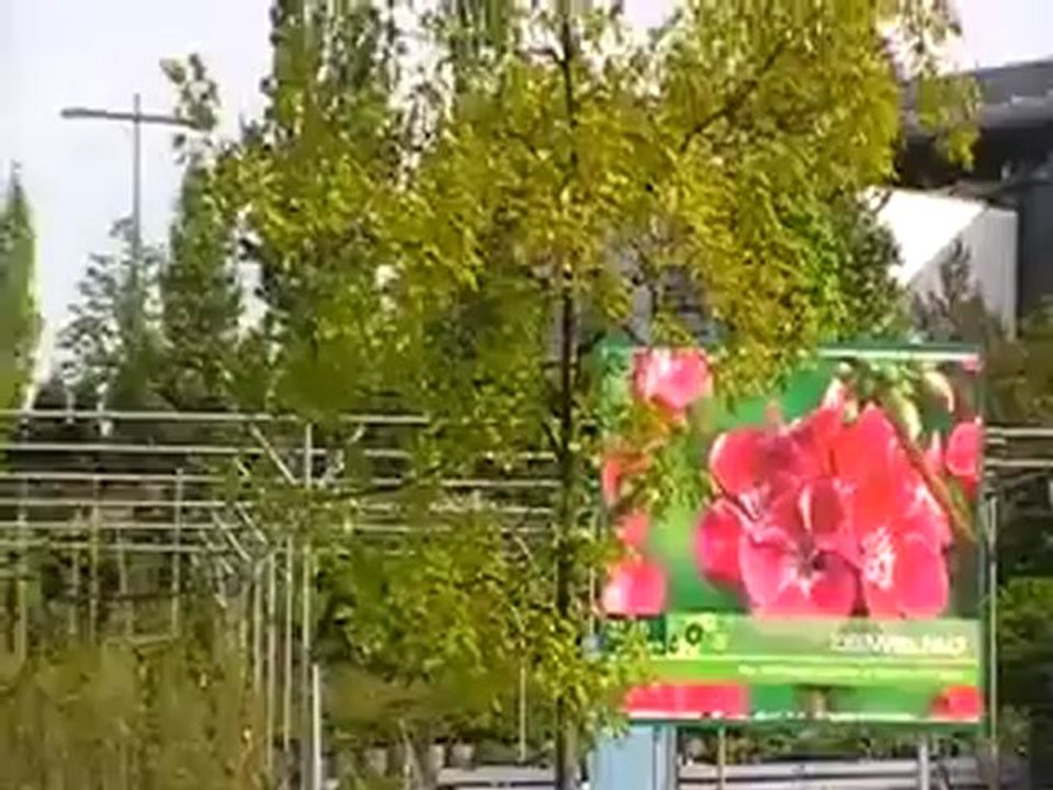 Pflanzenmarkt Schlereth Bad Kissingen Martin Schlereth Hubert Fella Filmer