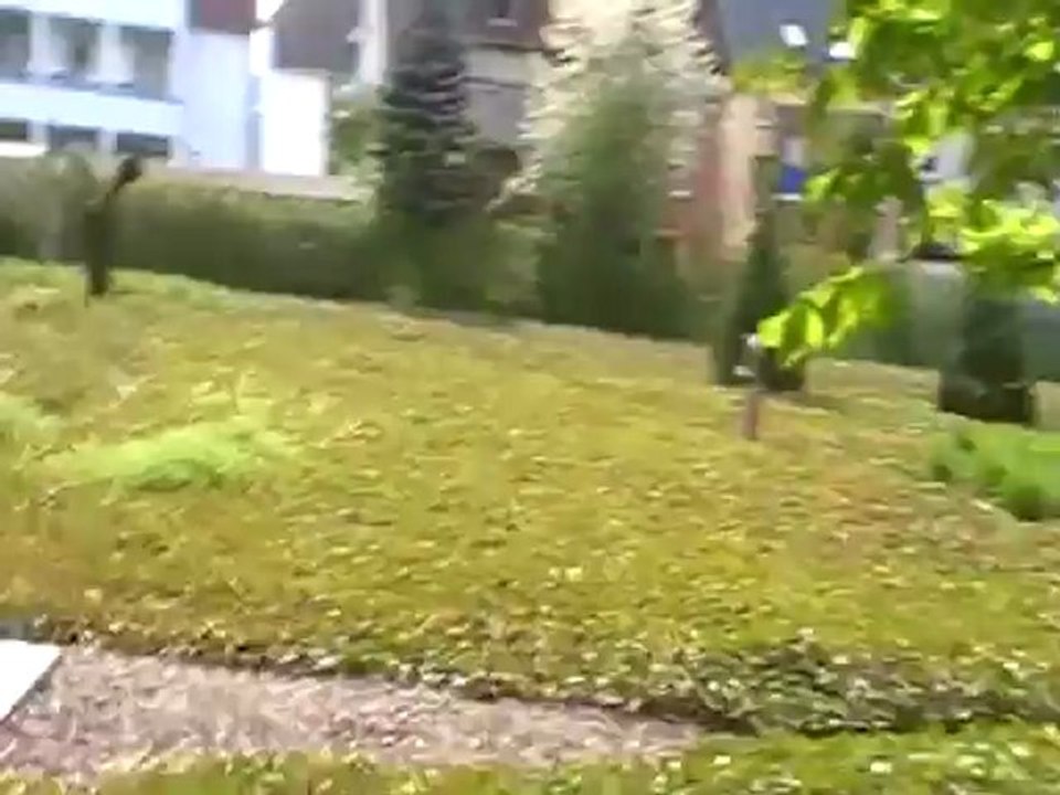 Schloss Fellenberg Museum 19. JH Hubert Fella Fotograf