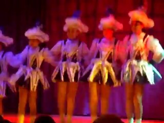 Prunksitzung in Gauaschach 30.01.2009 Prinzengarde GCA Gauaschach