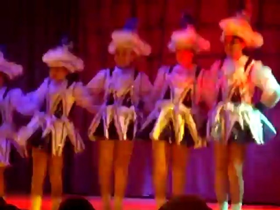 Prunksitzung in Gauaschach 30.01.2009 Prinzengarde GCA Gauaschach