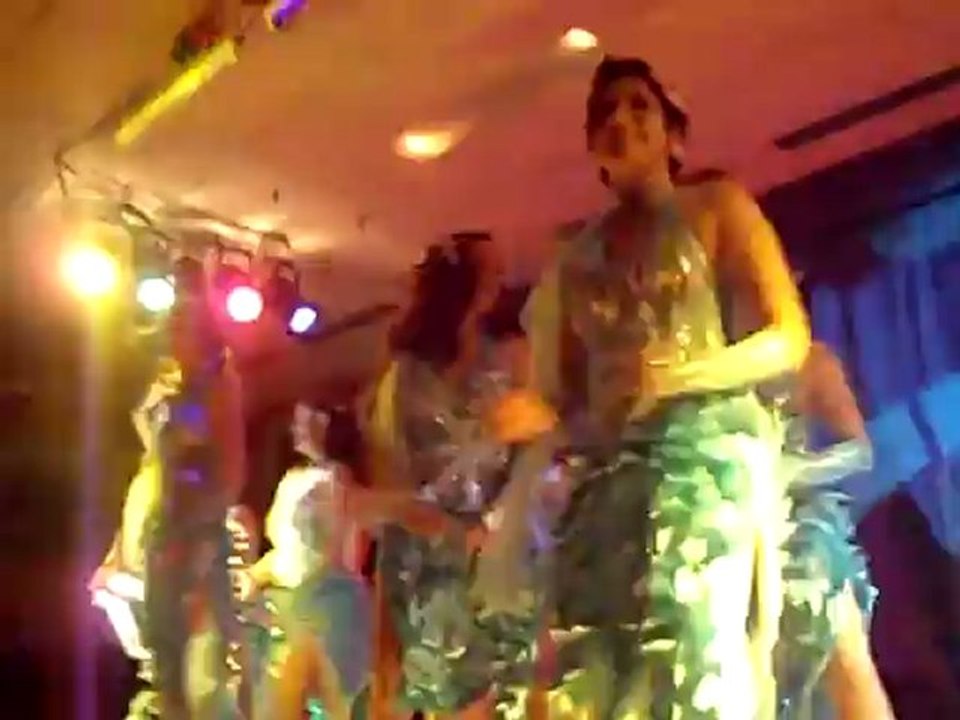 Prunksitzung in Gauaschach 30.01.2009 Prinzengarde GCA Gauaschach