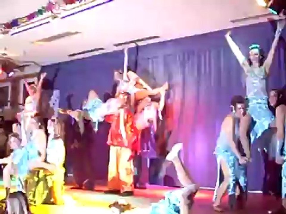 Prunksitzung in Gauaschach 30.01.2009 Prinzengarde GCA Gauaschach