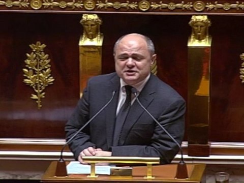 Discours de Bruno Le Roux à l'Assemblée Nationale