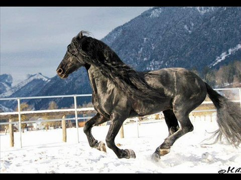 Ali Abbas ASLANTÜRK ama neydem çaresizim