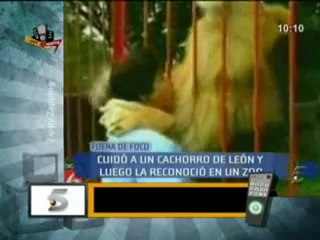 Zippy Zapping - 01/04/09