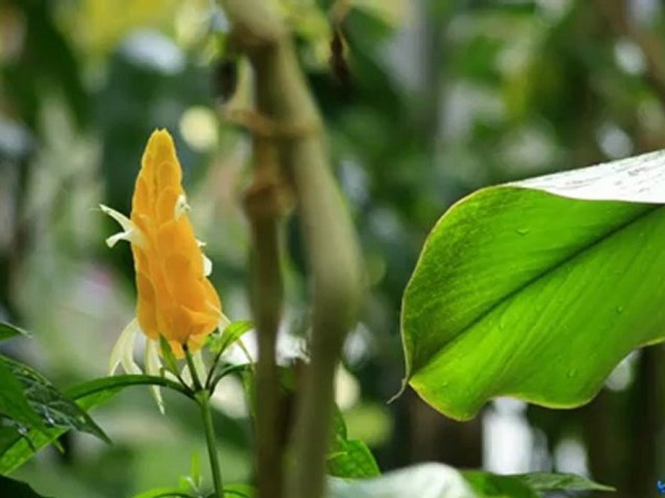 Planten un Blomen Hamburg