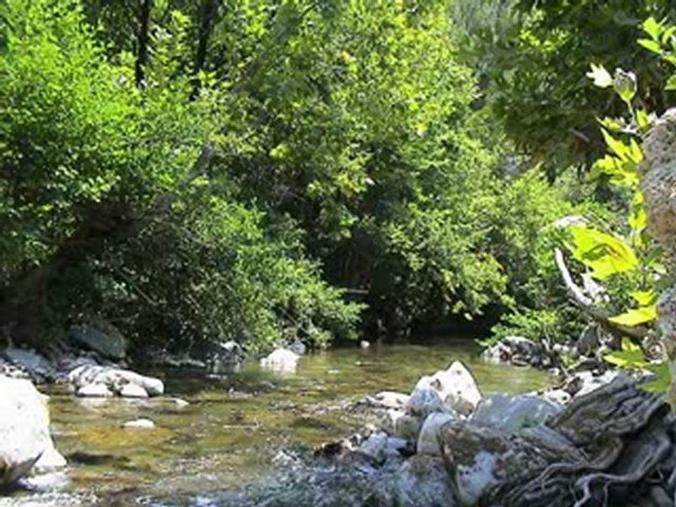 ERKAN  OĞUR  "Divane aşık gibi"