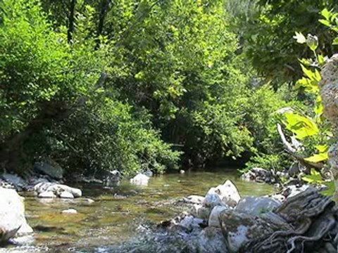 ERKAN OĞUR Divane aşık gibi