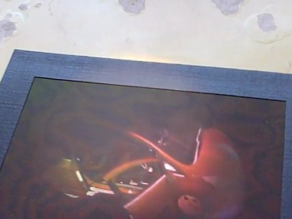 Hologramme B-MAX de Zebra Imaging