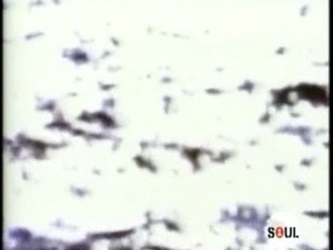 Caron Wheeler - Livin' In The Light