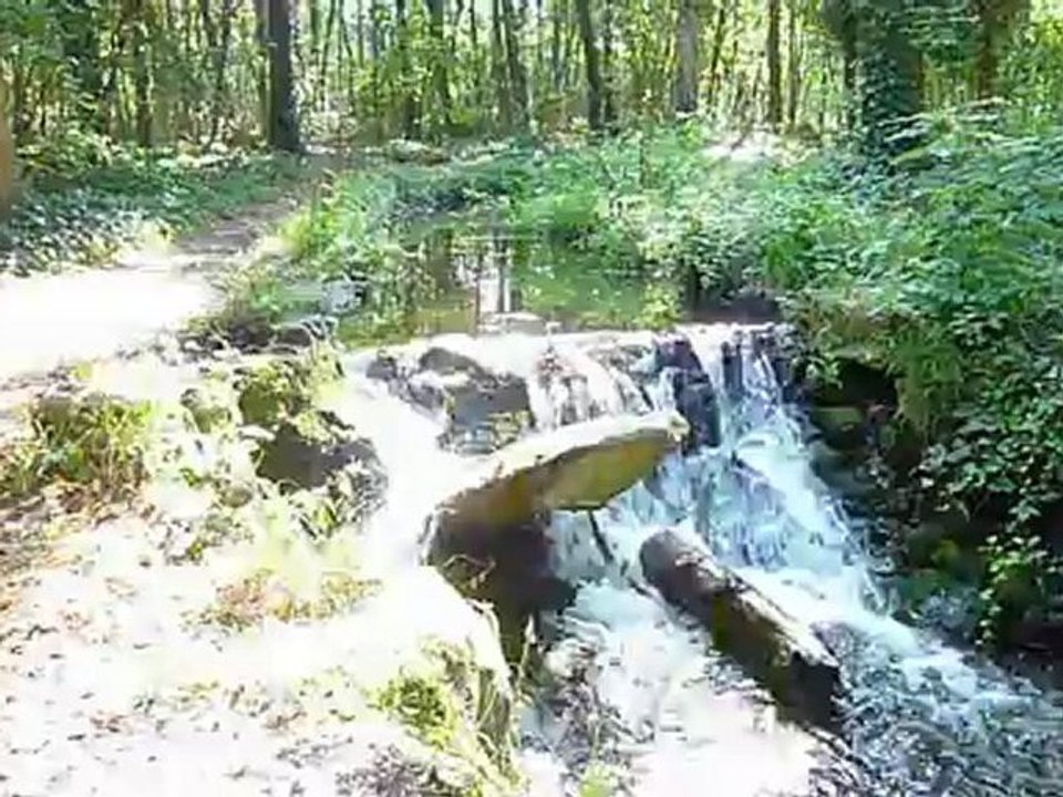 PRECIOUS WATER...