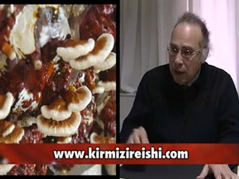 Kırmızı Reishi Mantarı Kanserden Korur mu Uzm. Dr. Yavuz Dizdar
