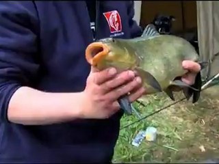 Praxis Tipp: Hakenlöser