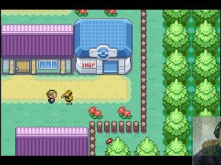 nuzlock challenge vert feuille ( 26 ) le pont qui ressemble a une foret