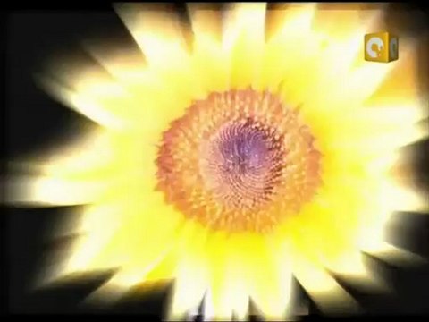 بلدنا بالمصري: هل نحن قادرون على عقد الانتخابات