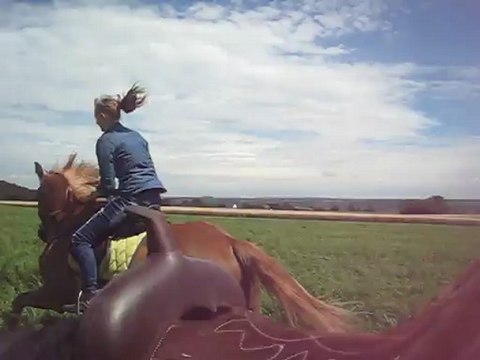 Kaïzer galop dans le champs