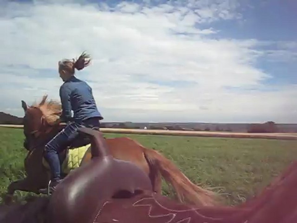 Kaïzer galop dans le champs