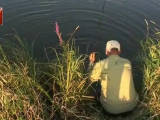 Praxis Tipp: Kunstköder im Sommer