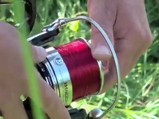 Maggi-Mais macht’s möglich